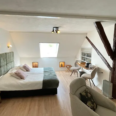 Bed And Breakfast De Salix Hitzum Exterior photo